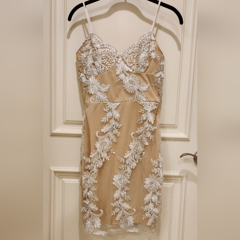 Windsor Strapless Beige and White Lace Dress NWT